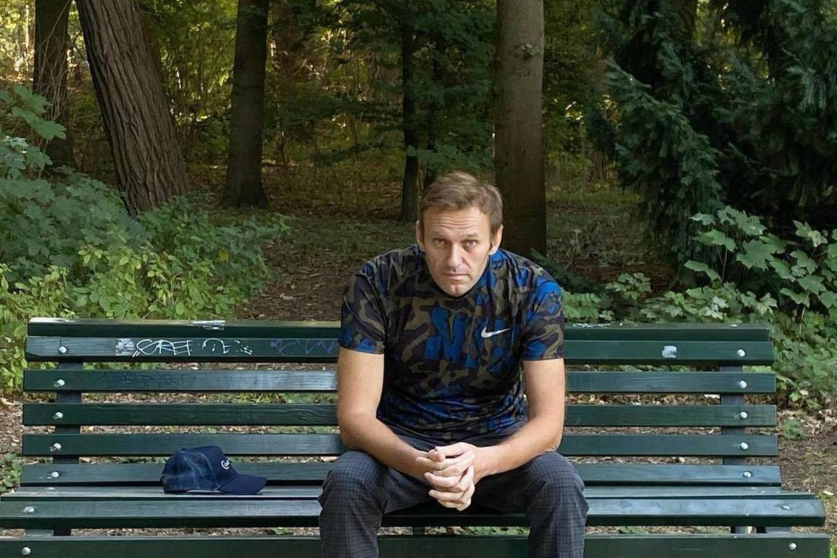 Алексей навальный - биография, личная жизнь и род деятельности
