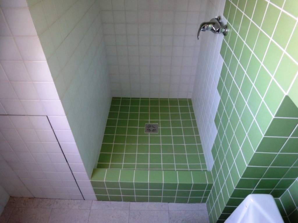 Интерьер ванной комнаты с душем без кабины: примеры дизайна. душ без душевой кабины в ванной: особенности и варианты дизайна