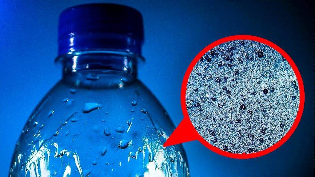 Микропластик в воде: что это, чем опасен для организма человека, вред для рыб и других животных