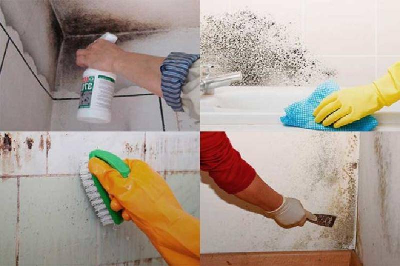 Как убрать плесень в ванной