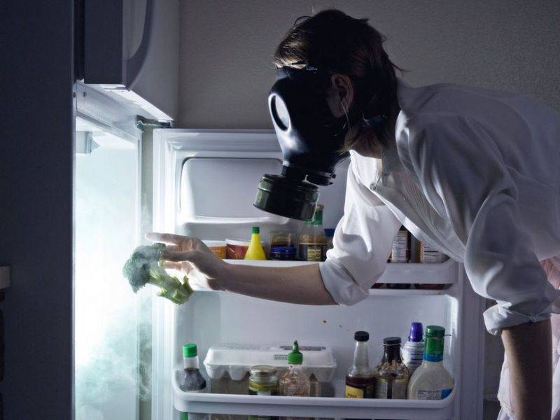 Средства для мытья холодильника внутри от запаха: обзор продукции для удаления загрязнений и устранения неприятных ароматов
