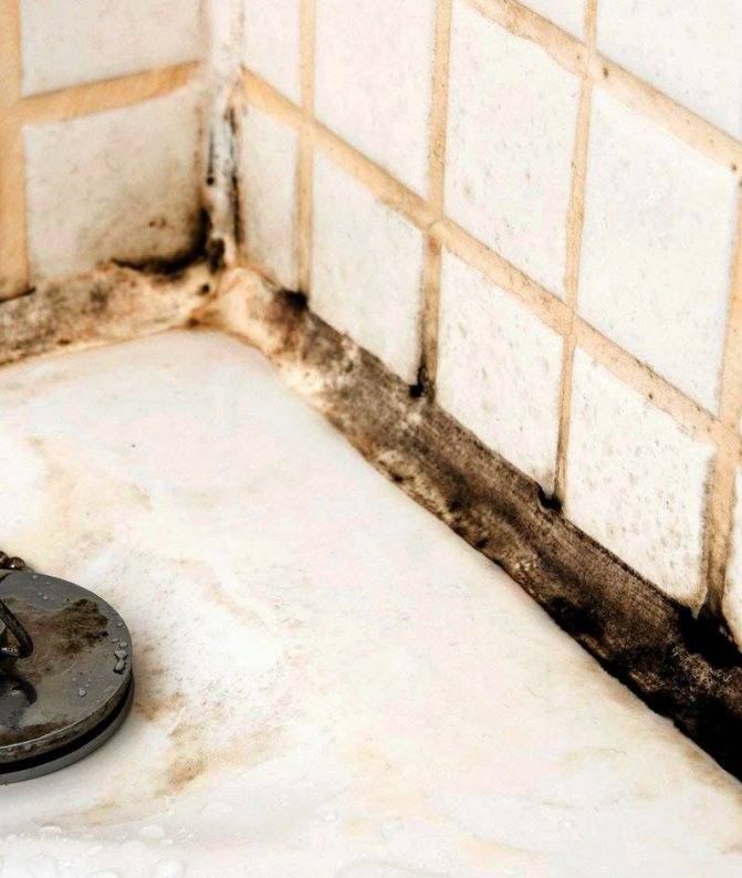 Как избавиться от плесени и грибка в ванной, швах между плиткой и герметике