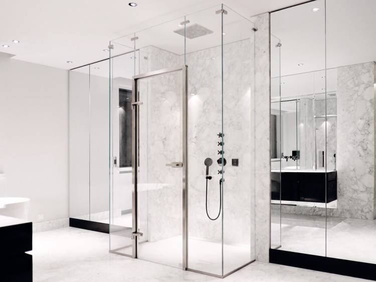 Душевая перегородка из стекла для ванной — интересные идеи для санузла в квартире (28 фото)