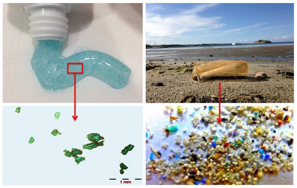 Микропластик в воде: что это, чем опасен для организма человека, вред для рыб и других животных