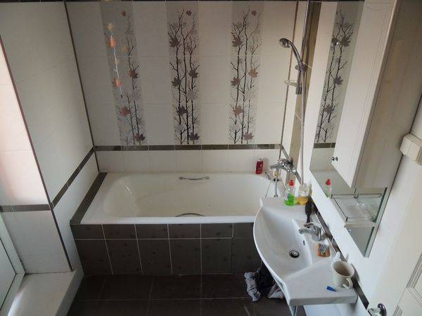 Ванная комната в панельном доме (фото): ремонт, варианты отделки, лучшие идеи