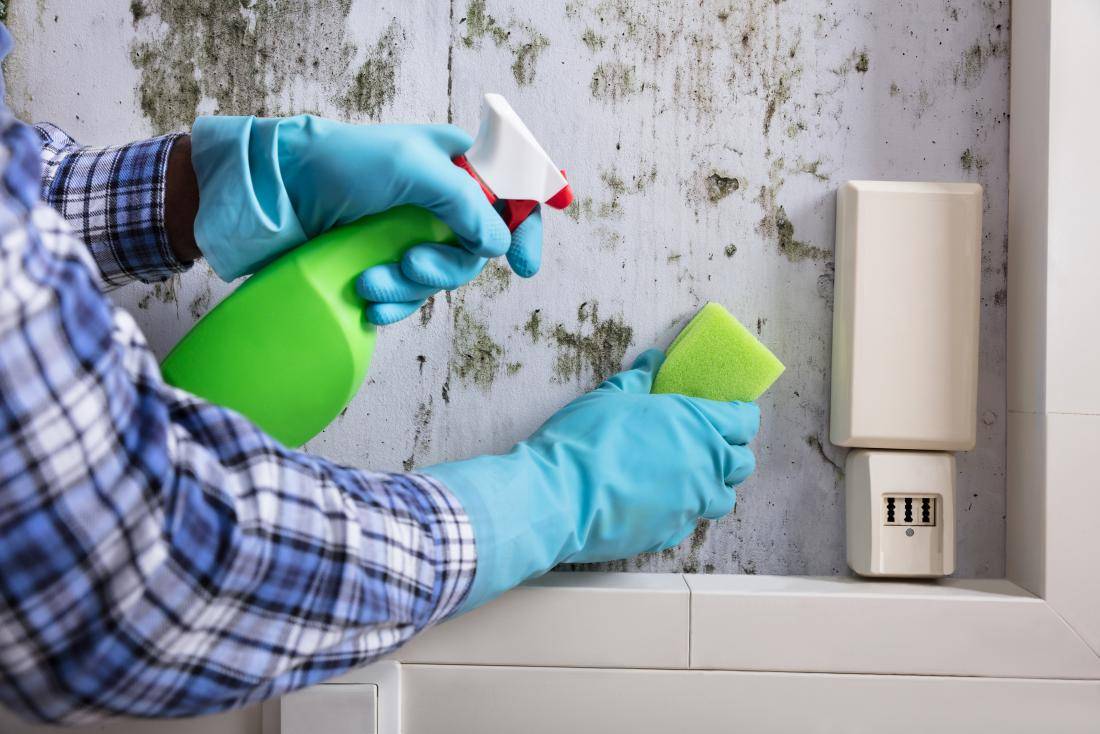 Как убрать плесень в ванной в швах, как избавиться от грибка в швах плитки на стенах?