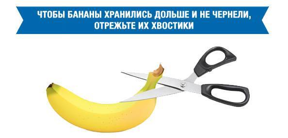 Как и где нужно хранить бананы в домашних условиях