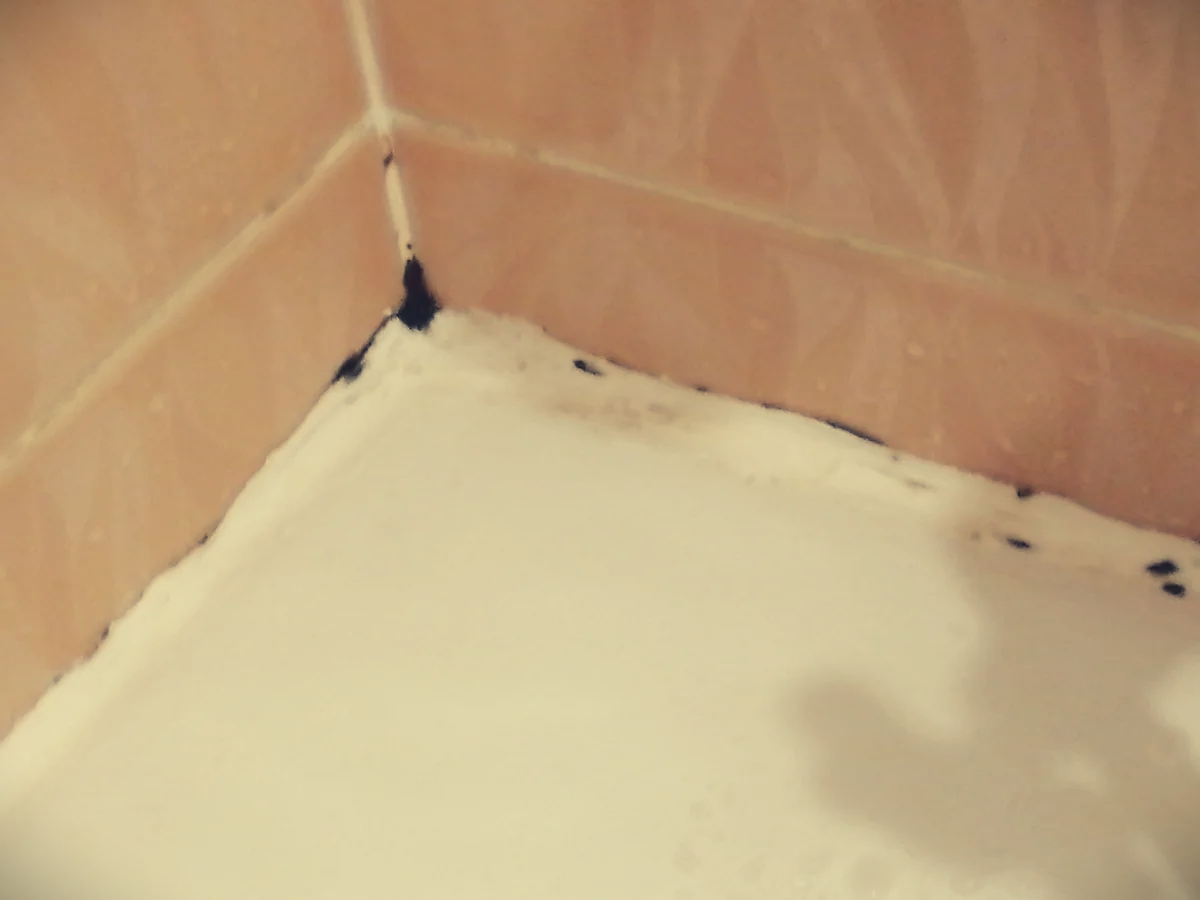 Как убрать плесень в ванной в швах, как избавиться от грибка в швах плитки на стенах?