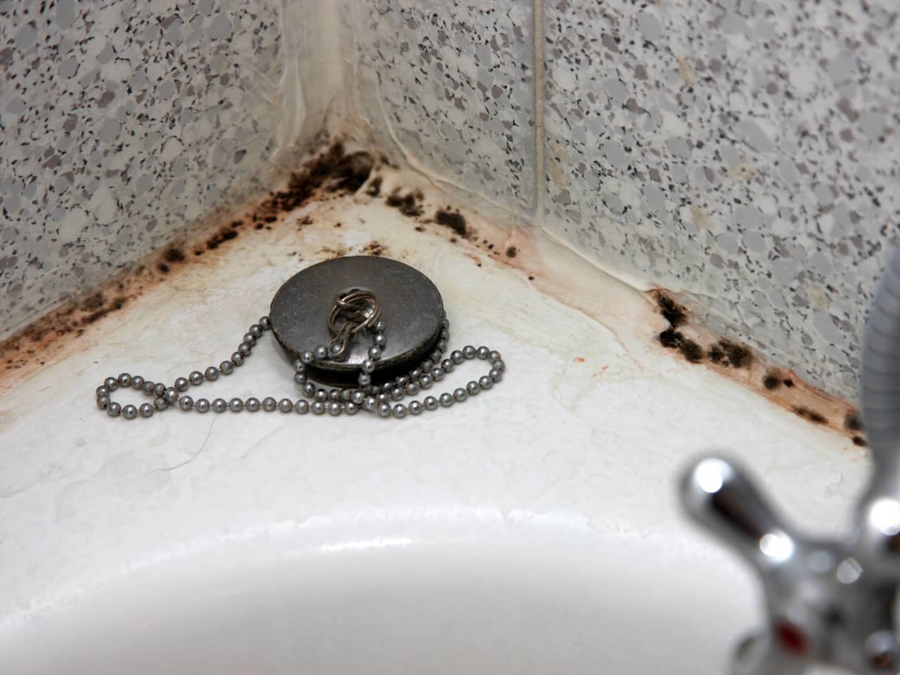 Как удалить грибок в ванной комнате навсегда — средства и методы избавления (видео, фото)