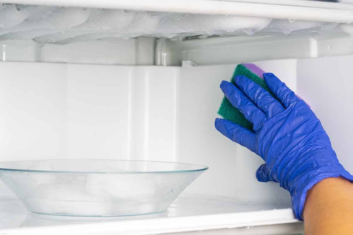 Как разморозить холодильник ноу фрост правильно