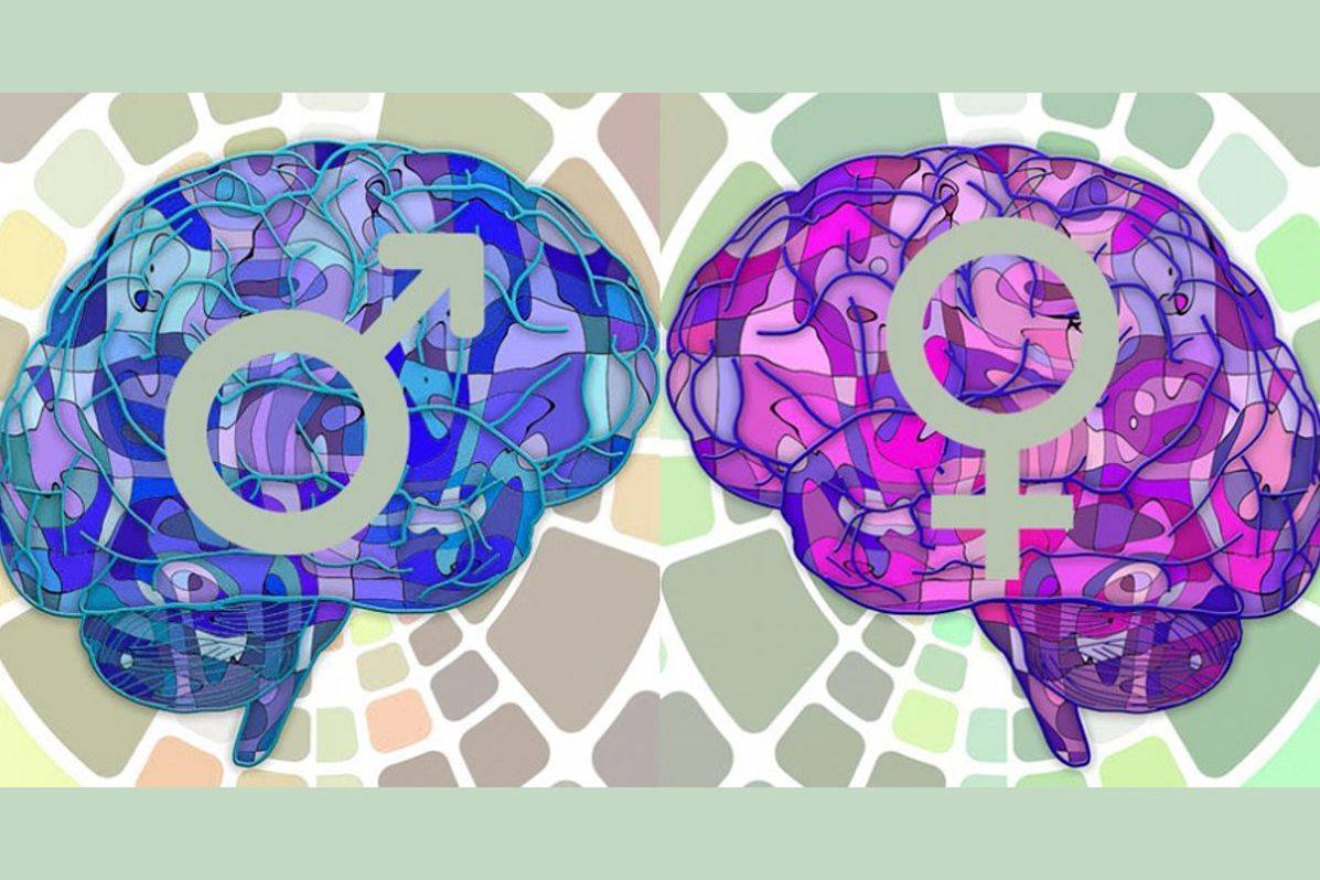 Ваш мозг — это мальчик или девочка?