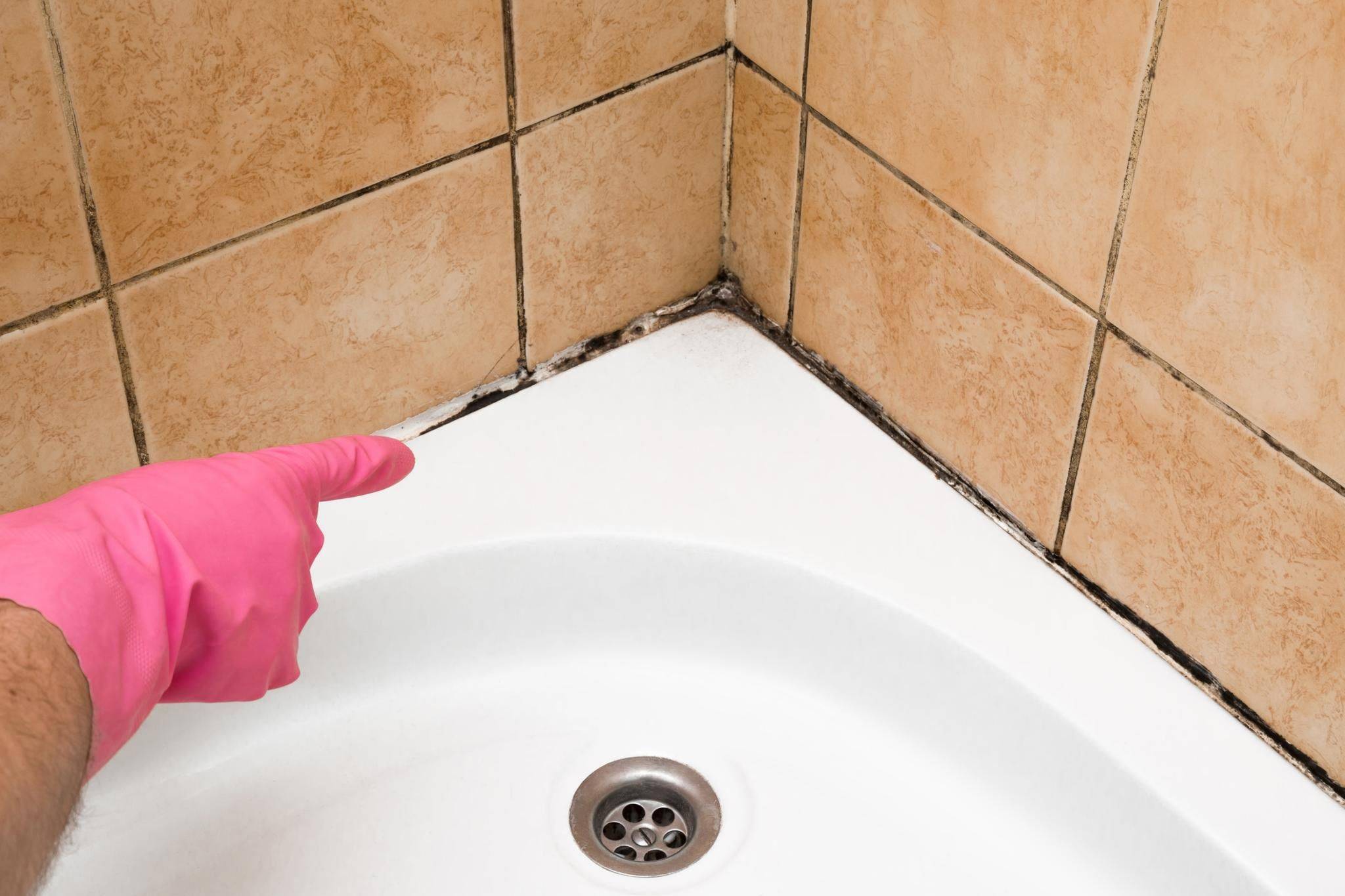 Как избавиться от плесени в ванной комнате: эффективные средства от грибка