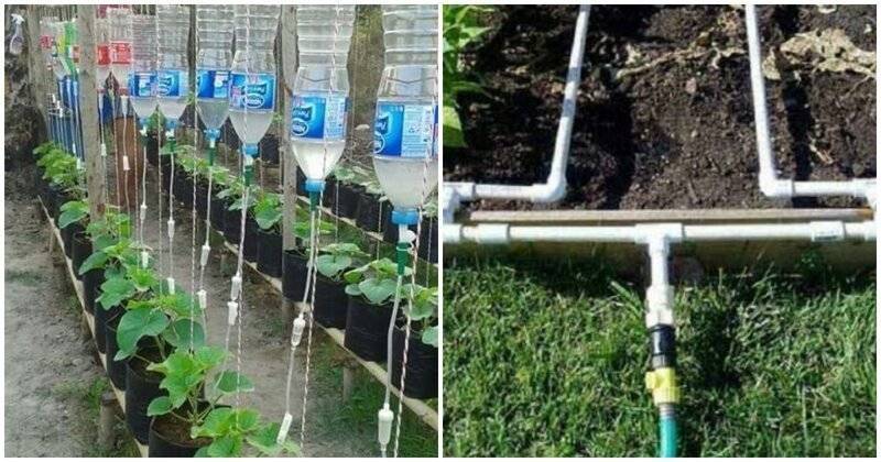 Как сделать капельный полив своими руками для огорода и теплицы, пошаговая инструкция с фото